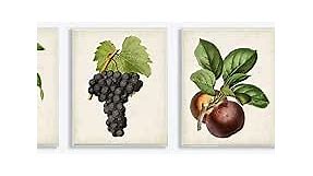 Stupell Industries Vintage Antique Fruits Kitchen Dining Room Painting Design Wall Plaque, 3pc, Each 10 x 15, Multi-Color