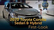 2020 Toyota Corolla - First Look