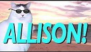 HAPPY BIRTHDAY ALLISON! - EPIC CAT Happy Birthday Song