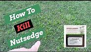 Nutsedge Killer // SedgeHammer + Herbicide Weed Control