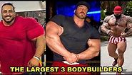 Meet The 3 Biggest Bodybuilders In The World.