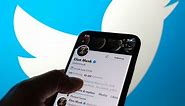 Twitter rebrands to X as Elon Musk loses iconic bird logo