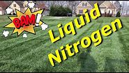 Liquid Nitrogen Testing - How Good Is It?