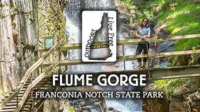 Exploring Flume Gorge: Live Free Outdoors