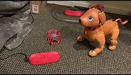 Caramel Aibo Does a Charger Bellyflop