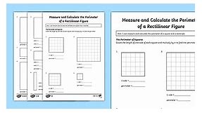 Year 4 Measure and Calculate the Perimeter of a Rectilinear Figure Differentiated Worksheets