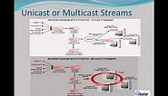 SysMaster IPTV Series Streaming Server