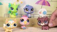 Littlest Pet Shop Toys - 'Sunny Day in Seal Beach Collection' January 2016 Social Flipbook