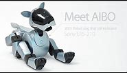 AIBO, Retro robot dog that still kicks ass - Sony ERS-210