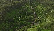 Maui Hawaii Aerial v37 birds eye view drone flyover Haipua'ena Falls along Hana highway, elevation u