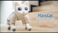 🤖 "Meet Marscat: Your AI Pet Companion by Elephant Robotics | Unboxing and Review" 🌌🐾