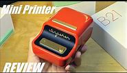 REVIEW: NIIMBOT B21 Inkless Mini Thermal Printer & Label Maker - Retro Design!
