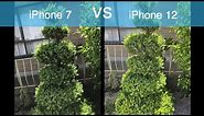 iPhone 12 vs iPhone 7 Camera Comparison