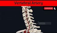 Vertebral Artery | Origin| Termination| Parts| Course| Relations|Branches| Subclavian Steal Syndrome