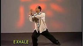 Get the best Tai Chi DVDs, Books, Ebooks and Bundles