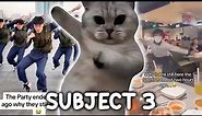 What Are The AI Dancing Dogs and Cats? Subject 3 (Kemusan) Dance Explained