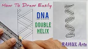 How to draw DNA double helix structure