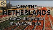 Why the Dutch Lead the World in Agriculture Exports