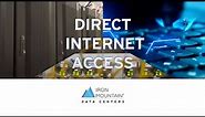What is Direct Internet Access (DIA)?