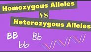 Homozygous vs Heterozygous Alleles | Punnet Square Tips