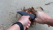 Brarvagur Hunting Knife with Kydex Sheath - 9cr Steel Full Tang Fixed Blade Tactical Knife, and Adjustable Belt Clip for Outdoor Survival, Camping, and Hiking (Camouflage)