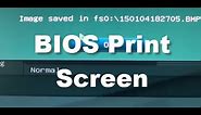 How to Take Screenshot / Print Screen of Bios Settings on Motherboard