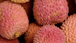 404K views · 3.2K shares | Feeding children lychee on an empty stomach could be deadly. | Seeker by The Verge | Facebook