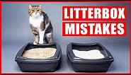You’re Setting Up Your Litter Box All Wrong! (Biggest Litter box Mistakes)
