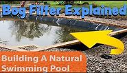 Building a Natural Swimming Pool - Wetland/Bog Filters Explained