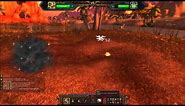 WoW Pet Battle Walkthrough