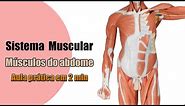 Conheça os 4 músculos do abdome [4K] - Anatomia Humana - Anatomia