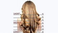 Hair length chart: Understanding types of hairs and and how to measure