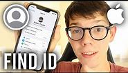 How To Find Apple ID On iPhone - Full Guide