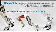 Introducing HyperLeg: Human-like Robot Leg and Foot for Highly Dynamic Motions