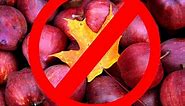 Red Delicious Apples Can Rot In Hell