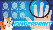 Everything you need to know about FINGERPRINTS | Cool Facts | Science Video for Kids