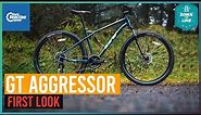 GT Aggressor Expert 29 Hardtail Bike 2021: First Look | CRC |