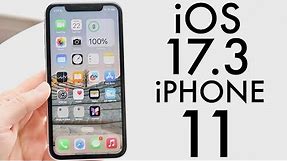 iOS 17.3 On iPhone 11! (Review)