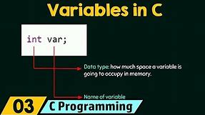 Introduction to Variables