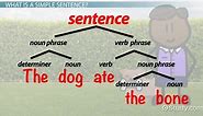 Simple Sentences Lesson for Kids: Definition & Examples