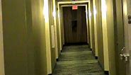 Full Hotel Tour: Springhill Suites by Marriott in Alexandria, VA.
