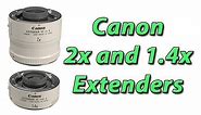 Canon 2x and 1.4x Extenders Photography Gear Review