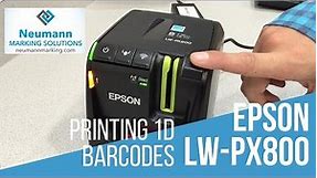 Epson LW PX800 Barcode Printing