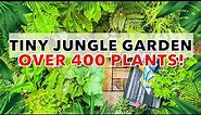 Small Tropical Jungle Garden Tour & Design Ideas with Simon Mabury