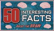 50 Interesting Facts about the Human Brain