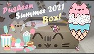 🍦 Pusheen Summer 2021 Subscription Box!