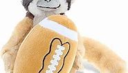 DolliBu Squirrel Monkey Stuffed Animal with Football Plush - Soft Plush Huggable Squirrel Monkey, Adorable Playtime Plush Toy, Cute Wildlife GIF for Kids, Adults - 12.5 Inch