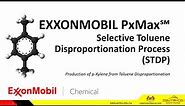 CHAPTER 6 : p-XYLENE - PETROCHEMICAL PRODUCTION PROCESSES (DGP6203)