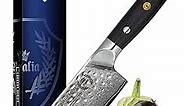 Regalia Nakiri (Usuba) Vegetable Chef Knife: Best 6-Inch Japanese AUS10 67-layer high Carbon Stainless Damascus Steel Asian Vegetable Cleaver Shaped Blade W/Hammered Finish, G-10 Handle