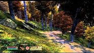 The Elder Scrolls IV Oblivion Gameplay Xbox 360 Part 2